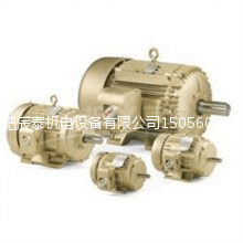 德國LAMMERS交流電機 德國LAMMERS交流電機