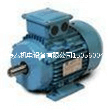 美國(guó)H2W馬達(dá) 美國(guó)H2W馬達(dá)