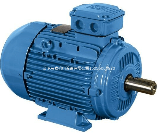 美國(guó)weg電機(jī) 美國(guó)weg電機(jī)